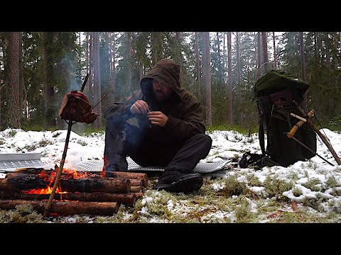 3 Days Winter Wild Camping - Sleeping under Tree - Cold Weather Hike