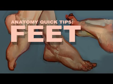 Anatomy Quick Tips: Feet