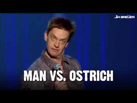 Man vs. Ostrich