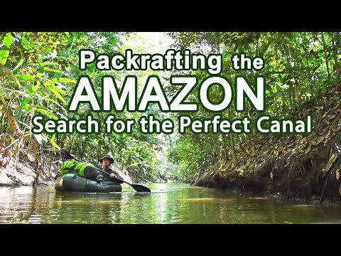 Expedition in the Amazon Jungle
