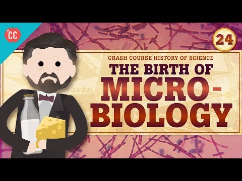 Micro-Biology, Crash Course History of Science #24