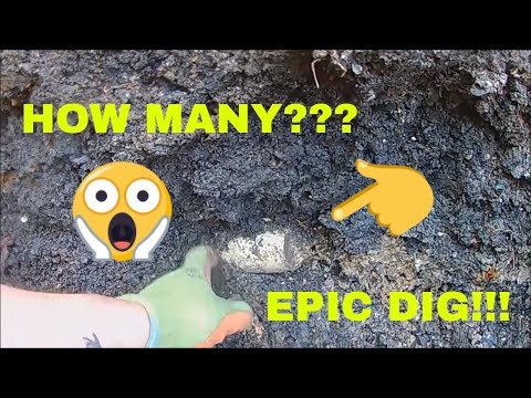 Bottle Digging UK 2018 - A EPIC DUMP DIG (The Yorkshire Digger)