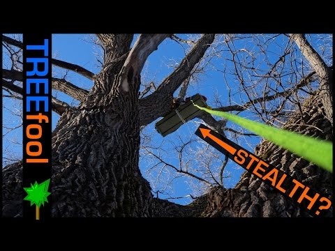 Urban Stealth Tree Camping is Awesome!??