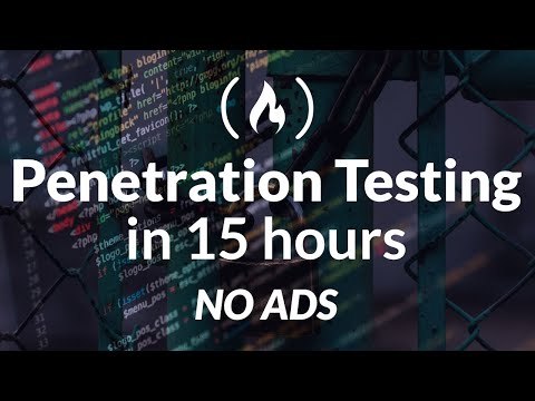 Network Penetration Testing for Beginners