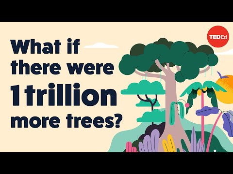 What if there were 1 trillion more trees?