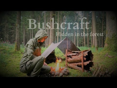Deep in the Forest - Real Bushcraft