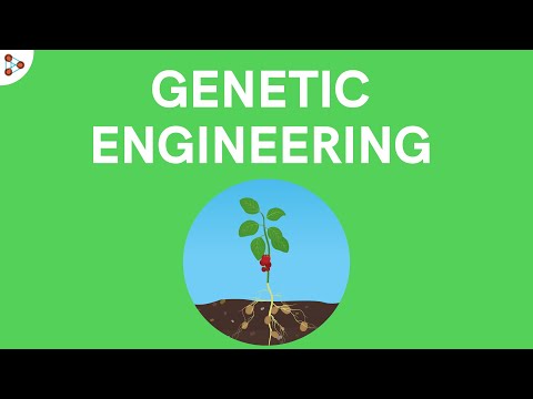 Genetic engineering | Don't Memorise