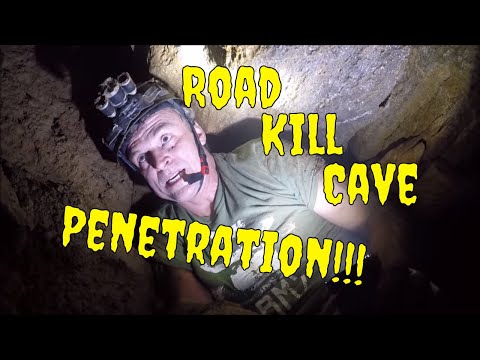 Road Kill Cave Conquered : Lucky To Be Alive | Aquachigger