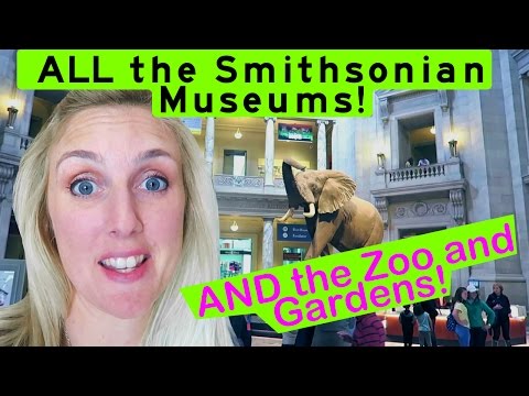 Every Smithsonian in DC! PLUS the Zoo and gardens! Best! (all the different ones)