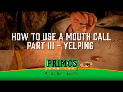 How to Use a Mouth Turkey Call Part III - Yelping
