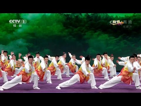 Wushu Champion Team - 2017 Chinese New Year