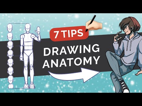 How to Draw & Stylize Human ANATOMY - 7 Tips on Body Proportions