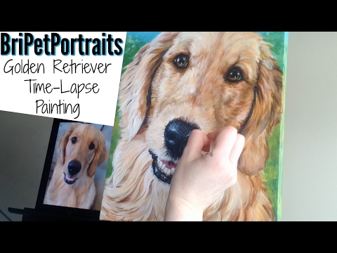 Pet portrait time-lapse.