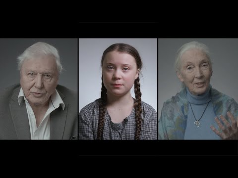 David Attenborough and Greta Thunberg's plea for the planet