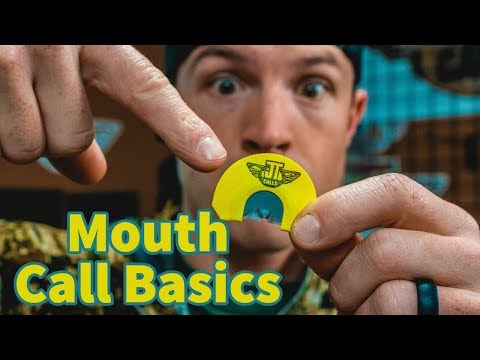 How to use a TURKEY Mouth call - THE BASICS -