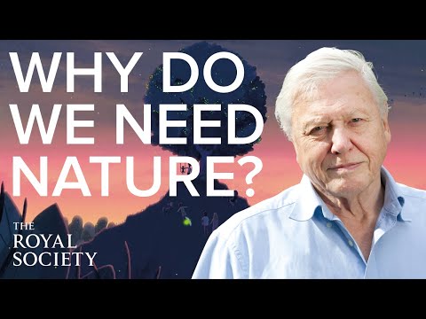 Why is biodiversity important - with Sir David Attenborough | The Royal Society