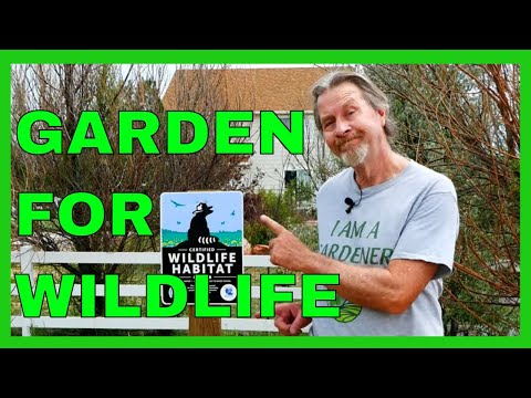 Create a Wildlife Habitat Garden