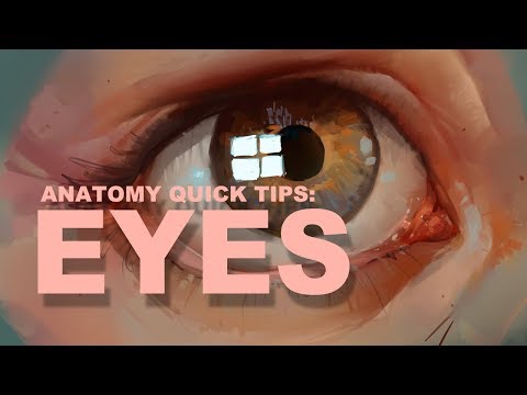 Anatomy Quick Tips: Eyes