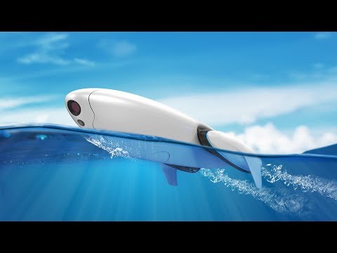 Introducing PowerDolphin, an Intelligent Water Drone