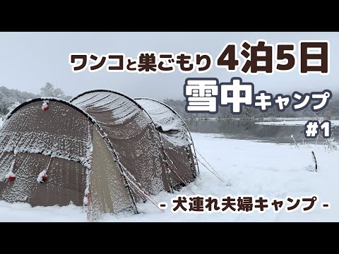 【キャンプ】4泊5日 ワンコと巣ごもり 雪中キャンプ ([Camp] 4 nights and 5 days Dog and camping in the snow tent)