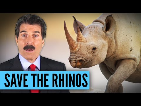 Save the Rhinos!