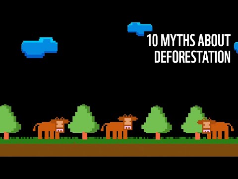 10 myths about deforestation | WWF