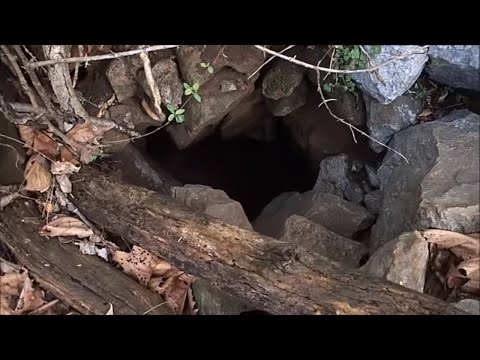 I Found A New Cave! | Aquachigger