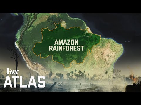 The destruction of the Amazon, explained