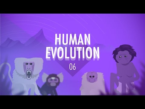 Human Evolution, Crash Course Big History 6