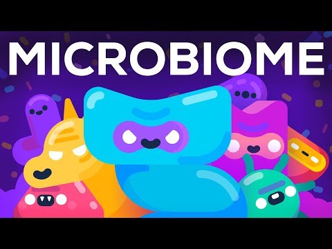 How Bacteria Rule Over Your Body – The Microbiome