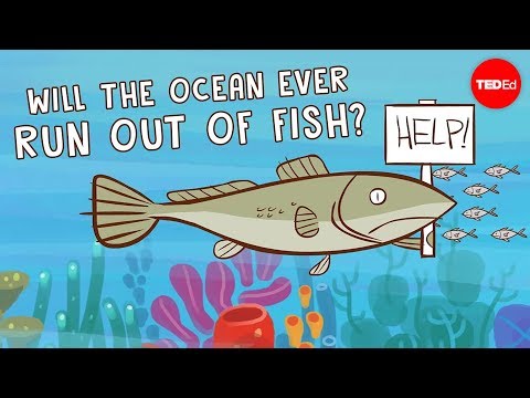 Will the ocean ever run out of fish? - Ayana Elizabeth Johnson and Jennifer Jacquet