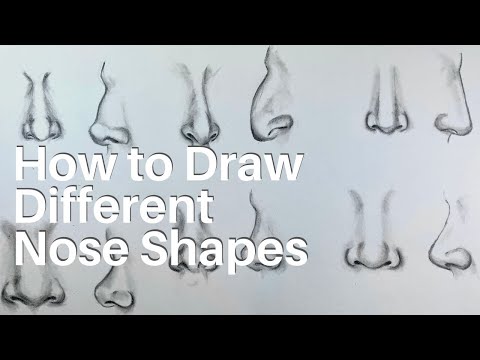How to Draw Different Nose Shapes