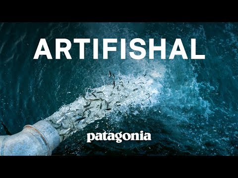 Artifishal (Full Film) | The Fight to Save Wild Salmon
