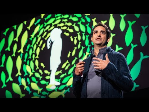 Four billion years of evolution in six minutes by Prosanta Chakrabarty