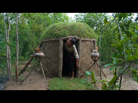 Amazing Girl Build the Most Beautiful Green Roof House