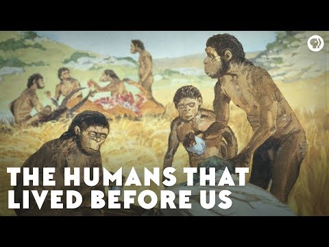 The Humans That Lived Before Us