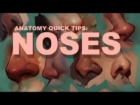 Anatomy Quick Tips: Noses