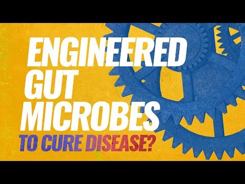 Engineered gut microbes to cure disease?