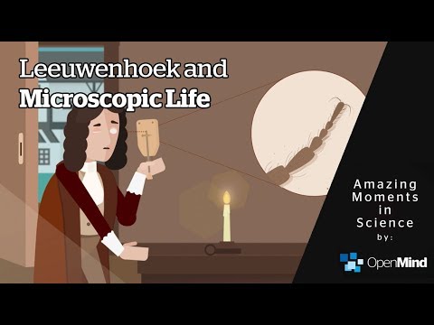 Leeuwenhoek and Microscopic Life