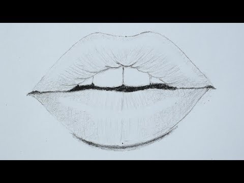 How to draw lips using pencil for beginners