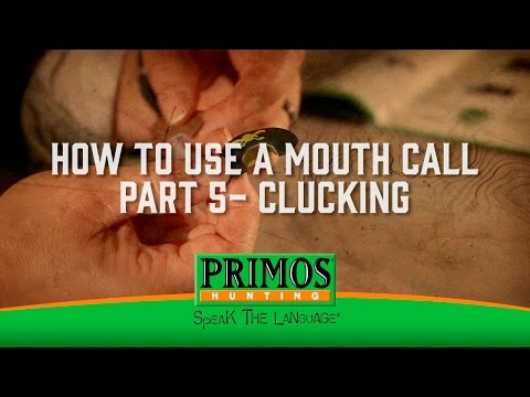 How to Use a Mouth Turkey Call Part 4 - Clucking
