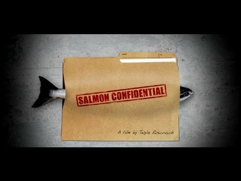 Salmon Confidential, Documentary About Salmon Farms in Canada & Diseased Salmon