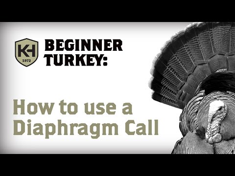 How to use a Diaphragm (Mouth) Call: Turkey Calling Tutorial for Beginners