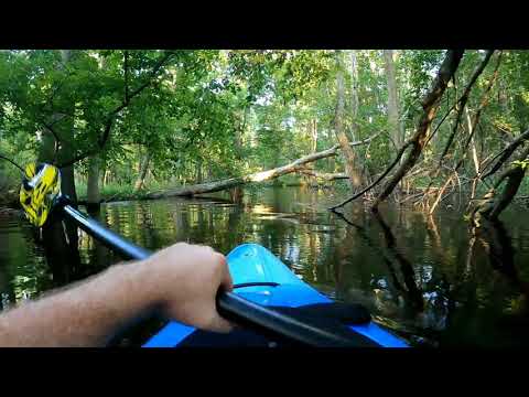 Alligator Charging Kayak 7 12 20