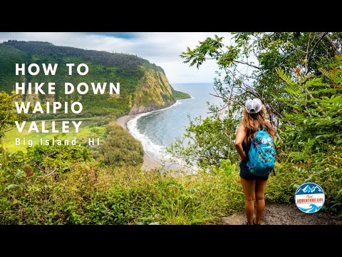 How to Hike Down Waipio Valley - Big Island - Hawaii