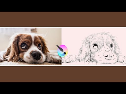 Turn any photograph into a pencil sketch using Krita (Mixing Filtered And Hand-drawn)