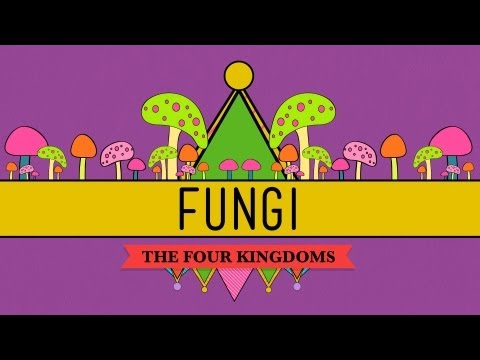 Fungi, Death Becomes Them - CrashCourse Biology #39