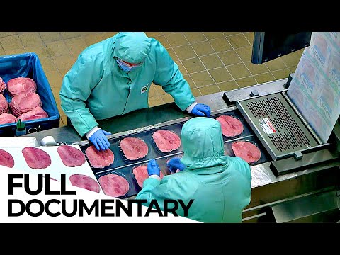 The Meat Lobby: How the Meat Industry Hides the Truth