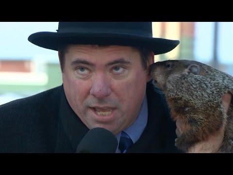 Jimmy the Groundhog takes a nibble of Wisconsin mayor
