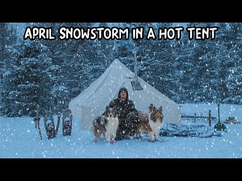 Spring Snowstorm Camp with My Dogs - 2 Feet of Snow in April